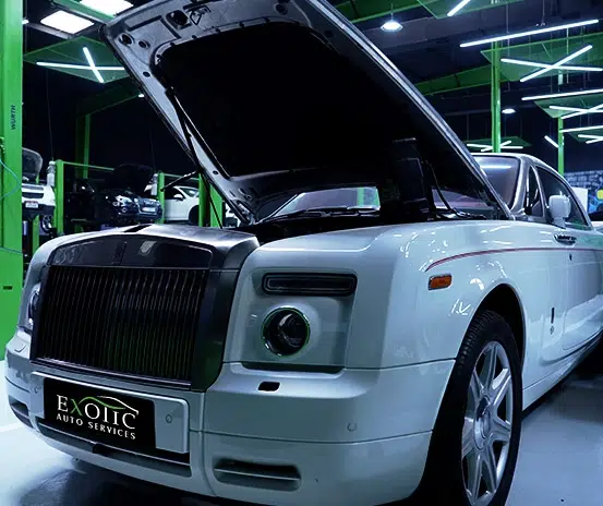 exotic auto services